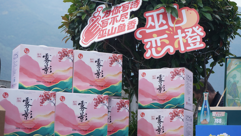 微信图片_2025-12-11_144014_849.png